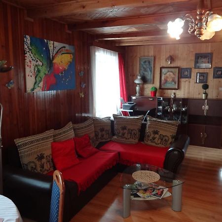 App Tony Beroun Apartamento Beroun  Exterior foto